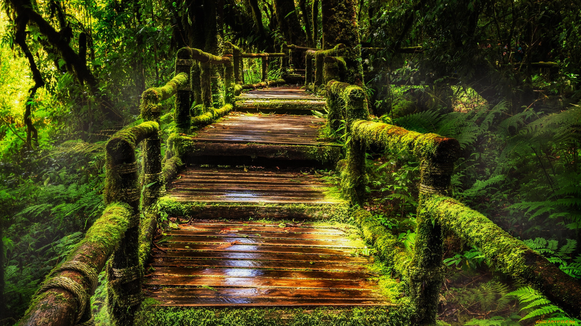 doi inthanon national park, thailand, , , doi, inthanon, national, park